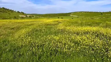 Atıl Araziler Çiftçilere Kiralanıyor