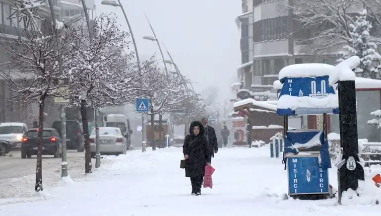 Şiddetli Soğuk, Doğu Anadolu'yu Vurdu!